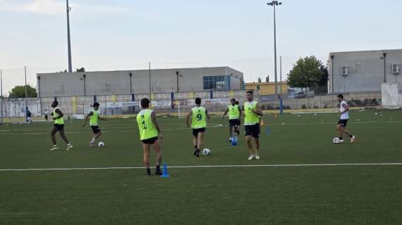 FBC Gravina Coppa e mercato