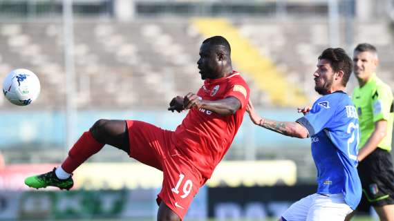 Bright Addae, Nard&ograve; 