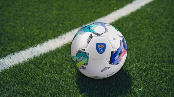 Serie D a rischio iscrizione