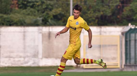 Davide Rosso, Nocerina