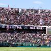 Serie B, Palermo-Pescara: info biglietti