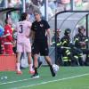 Serie B, Palermo-Monza: le probabili formazioni
