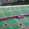 Immagine news 9