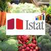 ISTAT, pubblicati dati definitivi prezzi al consumo di maggio 2025