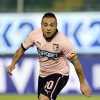 Palermo, Miccoli al Renzo Barbera per assistere al match contro il Cittadella 