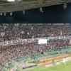 Palermo-Venezia, oggi segui la gara con TuttoPalermo.net e RTA