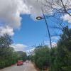 AMG ENERGIA SPA-Parco della Favorita, si riaccende l’illuminazione, in viale Diana e in viale Ercole arrivano i led