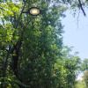 Palermo, Favorita: completato il ripristino dell’illuminazione, installate lampade a led anche in viale Ercole