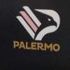 Palermo, non vince da due gare