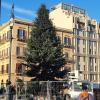Palermo, domenica accensione albero in piazza Politeama