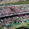 Immagine news 21