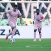 Palermo, il report odierno