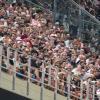 Immagine news 8