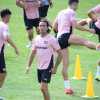 Palermo, gli attuali movimenti ufficiali di calciomercato