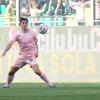Palermo, tre giocatori in diffida: ecco tutte le decisioni del giudice sportivo