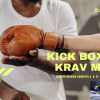 Kick Boxing e Krav Maga, prenota la tua lezione a Palermo con il Roy Team