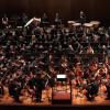 Teatro Massimo, la Nona di Beethoven incanta il pubblico: successo per Nir Kabaretti, Coro e Orchestra