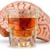 Alcol e cervello, anche pochi drink accelerano l’invecchiamento cerebrale