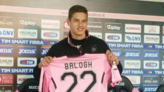 Palermo, Balogh: "Sono pronto a giocare da titolare"