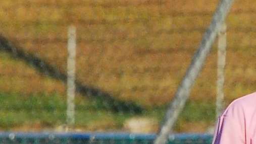 UFFICIALE: Palermo, acquistati Ilicic e Bacinociv