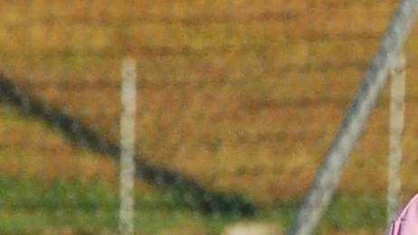 Palermo, oggi presentazione di Joao Pedro