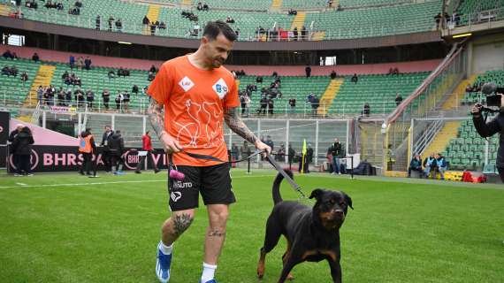 Palermo, per Brunori squalifica e multa