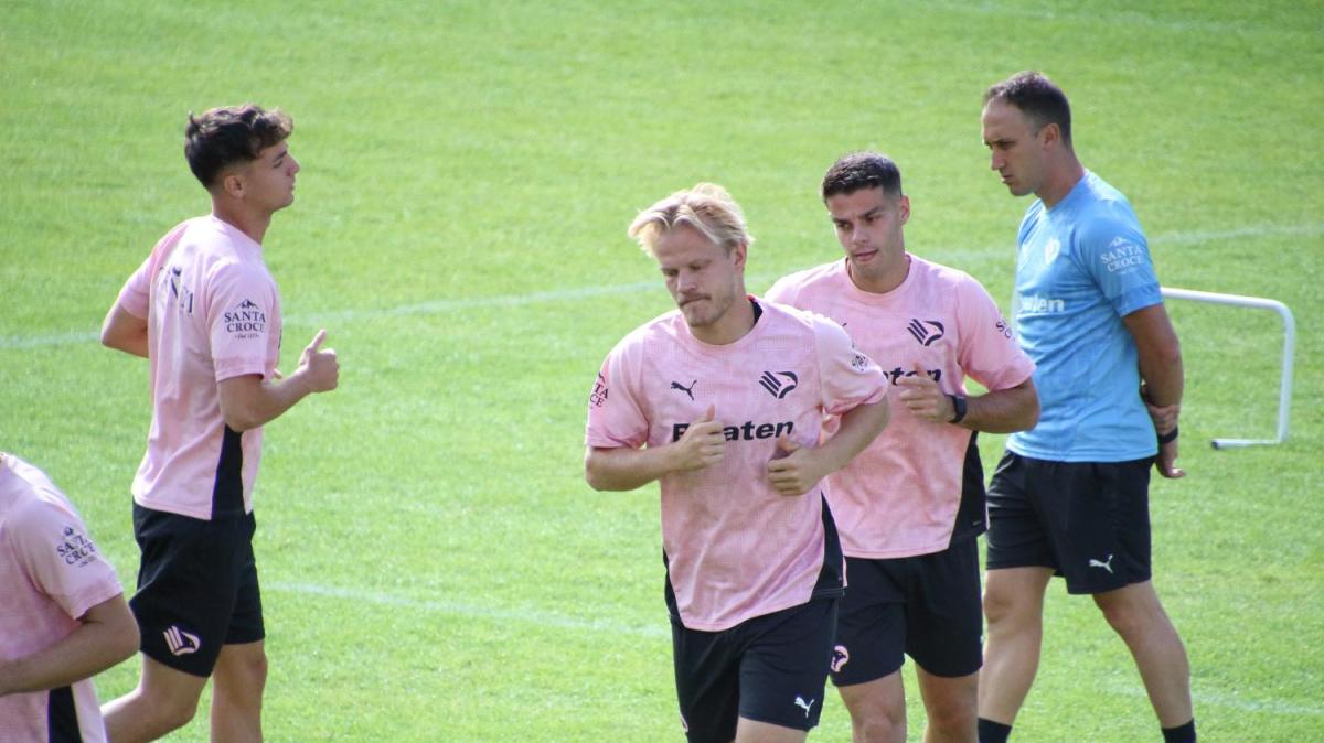 Palermo, report seduta 18 novembre