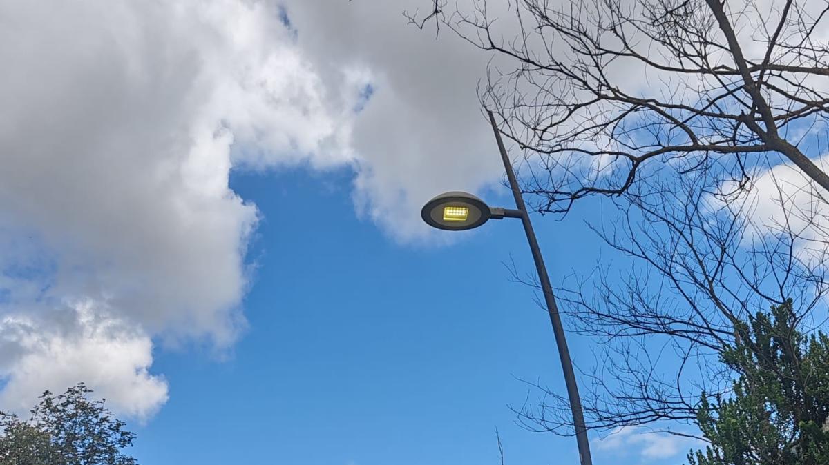 AMG ENERGIA SPA-Parco della Favorita, si riaccende l’illuminazione, in viale Diana e in viale Ercole arrivano i led