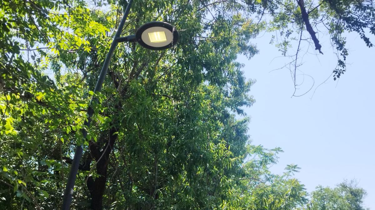 Palermo, Favorita: completato il ripristino dell’illuminazione, installate lampade a led anche in viale Ercole