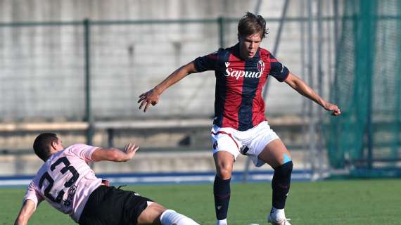 Palermo, per Saric la Salernitana prova l'affondo 