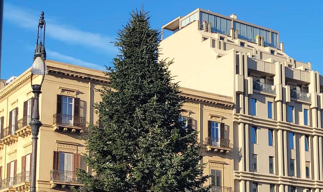 Palermo, domenica accensione albero in piazza Politeama