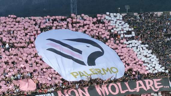 Palermo, gli attuali movimenti ufficiali di calciomercato