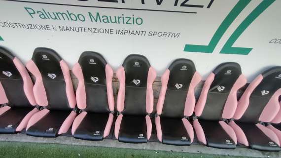 Palermo, rosanero ufficialmente in Serie B