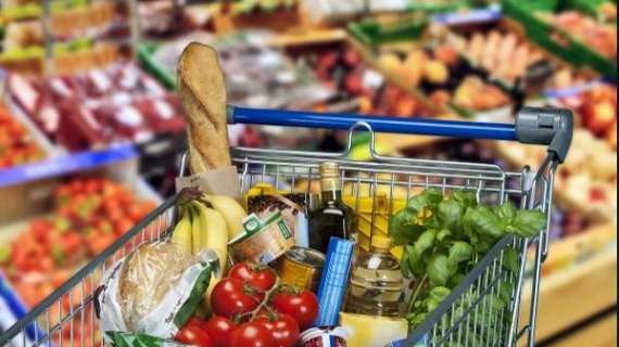 Carta Risparmio Spesa 2023, dal 18 luglio le comunicazioni: ecco i requisiti