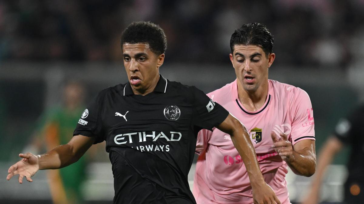 Palermo, Ranocchia torna disponibile