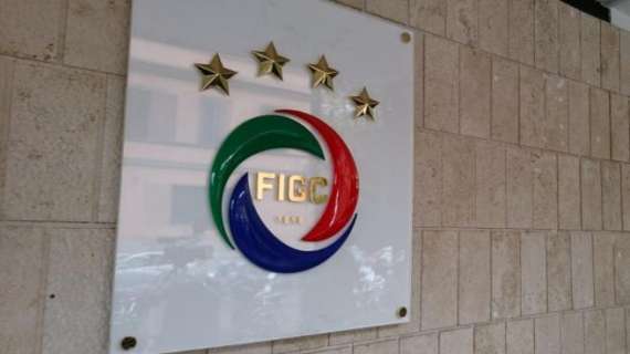 Il piano della FIGC per fronteggiare l'emergenza: spunta il 'Fondo salva calcio'