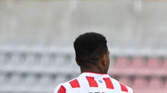 Mercato Pescara: spunta il nome di Freddi Greco