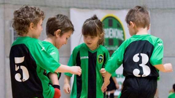 Pordenone C5, week end ricco per i baby ramarri