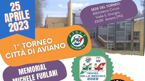 Subbuteo: 1° Torneo Città di Aviano "Memorial Michele Furlani"
