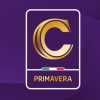 Primavera 3 "Dante Berretti", il Potenza inserito nel girone B