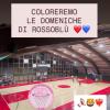 La Basilia Basket Potenza torna a giocare di domenica, domani la prima in casa con il Napoli