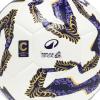 Serie C Sky wifi girone C i risultati della quinta giornata. Il Potenza vince il derby con il Picerno, Salernitana a punteggio pieno