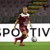 Paura durante Salernitana-Crotone, il calciatore granata Luca Villa a terra immobile
