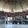 Salernitana dopo mister Raffaele vuole soffiare anche Achik al Cerignola intanto, va al Tar...