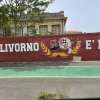 Immagine news 4
