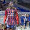 Potenza, il resoconto del mercato estivo