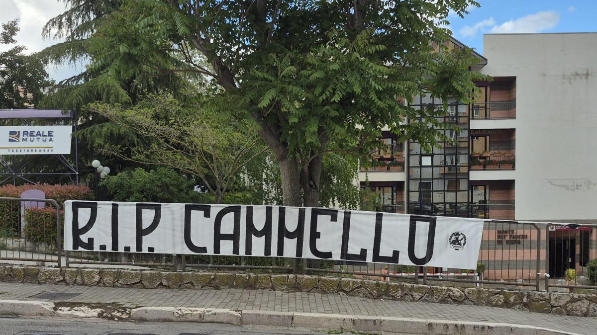 R.I.P. CAMMELLO