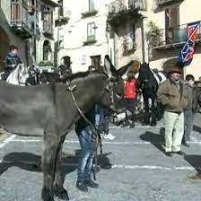 Pignola, donna di 48 anni è in gravi condizioni dopo essere caduta da cavallo prima del tradizionale palio di Sant’Antonio