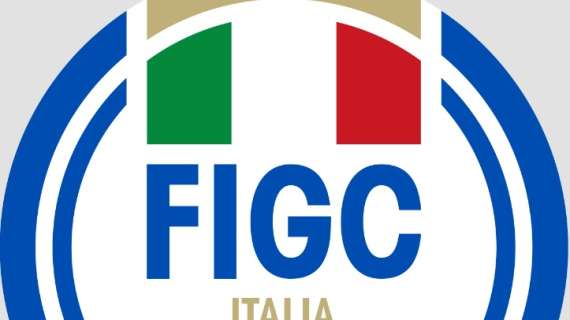 Consiglio Federale della FIGC, ecco le altre decisioni
