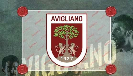 Il Miglior logo lucano calcio a 11 è quello dell'Avigliano Calcio